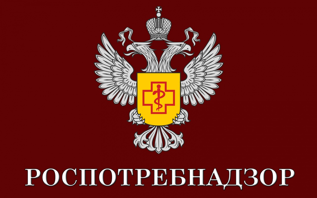 «Горячая линия» по профилактике гриппа и ОРВИ заработала в Роспотребнадзоре. .