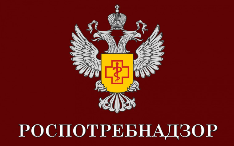 «Горячая линия» по профилактике гриппа и ОРВИ заработала в Роспотребнадзоре. . «Горячая линия» по профилактике гриппа и ОРВИ заработала в Роспотребнадзоре. .